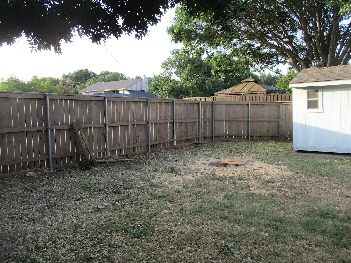 Cleared yard after professional tree removal in Palos Heights